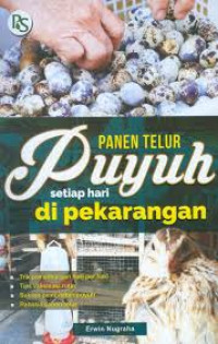 Image of Persahabatan di Pesantren